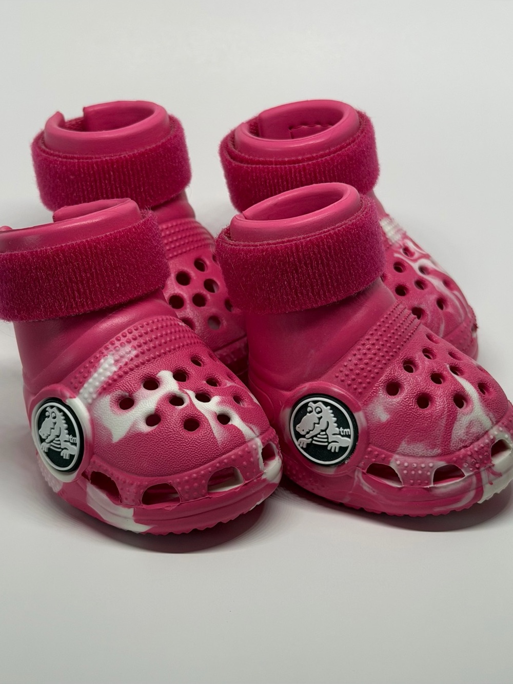 Crocs Limited Edition Pet Crocs Dragon Fruit Glow in Dark Colour Size Small